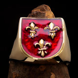 Excellent crafted Men's red Fleur de Lis Coat of Arms Ring - solid Brass - BikeRing4u