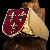 Excellent crafted Men's red Fleur de Lis Coat of Arms Ring - solid Brass - BikeRing4u