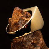 Excellent crafted Men's purple Fleur de Lis Coat of Arms Ring - solid Brass - BikeRing4u