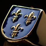 Excellent crafted Men's blue Fleur de Lis Coat of Arms Ring - solid Brass - BikeRing4u