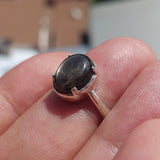 Natural Black Sapphire Ring, Sterling Silver Ring, Sapphire Silver Ring, Black Star Sapphire Ring, Minimalist Design, 6 Rays Star Sapphire - size 6.5