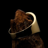 Perfectly crafted Men's National Flag Ring Turkey - solid Brass - BikeRing4u