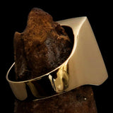 Perfectly crafted Men's Ring Viking Warrior Green - Solid Brass - BikeRing4u