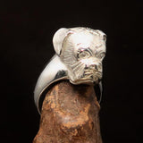 Perfectly crafted Men's Boxer Dog Ring - shiny Sterling Silver - BikeRing4u