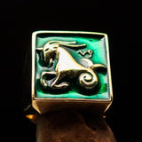 Brass Men's Zodiac Ring Capricorn in Green - BikeRing4u