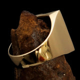 Excellent crafted Men's Chess Ring red Horse Head - Solid Brass - BikeRing4u