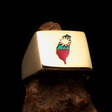 Excellent crafted Men's Taiwanese Flag Ring Taiwan - Solid Brass - BikeRing4u