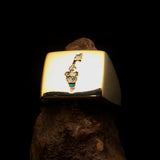 Excellent crafted Men's National Flag Ring Israel - solid Brass - BikeRing4u