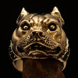 Excellent crafted Men's Pitbull Ring with red Garnet Collar - solid Brass - BikeRing4u