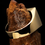 Perfectly crafted Men's Blue Devil Ring  - Solid Brass - BikeRing4u