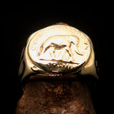 Men's ancient Roman Coin Men's Elephant Ring Antonius Pius - solid Brass - BikeRing4u