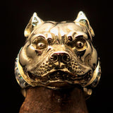 Excellent crafted Men's Pitbull Ring with white CZ Collar - solid Brass - BikeRing4u