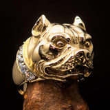 Excellent crafted Men's Pitbull Ring with white CZ Collar - solid Brass - BikeRing4u