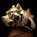 Excellent crafted Men's Pitbull Ring with white CZ Collar - solid Brass - BikeRing4u