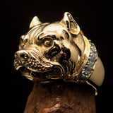Excellent crafted Men's Pitbull Ring with white CZ Collar - solid Brass - BikeRing4u