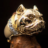Excellent crafted Men's Pitbull Ring with white CZ Collar - solid Brass - BikeRing4u