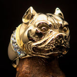 Excellent crafted Men's Pitbull Ring with white CZ Collar - solid Brass - BikeRing4u