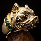 Excellent crafted Men's Pitbull Ring with green CZ Collar - solid Brass - BikeRing4u