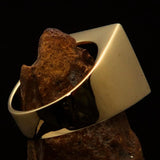 Perfectly crafted Men's Ring winged Lion of Venice Red - Solid Brass - BikeRing4u