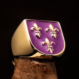 Excellent crafted Men's purple Fleur de Lis Coat of Arms Ring - solid Brass - BikeRing4u