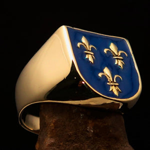 Excellent crafted Men's blue Fleur de Lis Coat of Arms Ring - solid Brass - BikeRing4u
