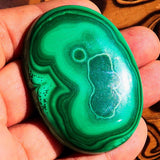 Collectors oval shaped Green Malachite Cabochon 309 CT - 56 mm x 42 mm