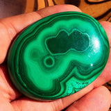 Collectors oval shaped Green Malachite Cabochon 309 CT - 56 mm x 42 mm