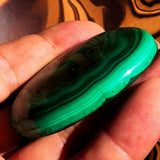 Collectors oval shaped Green Malachite Cabochon 309 CT - 56 mm x 42 mm