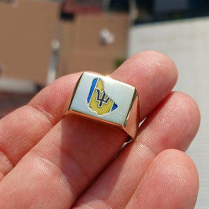 Barbados Flag Ring, Sport Event Outfit, Square shaped Ring, Costume Ring, Pinky Ring, Flag of Barbados, Barbados Fan apparel, Men's Ring