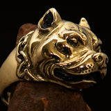 Excellent crafted Men's Brass Animal Ring Pitbull in Chains - BikeRing4u