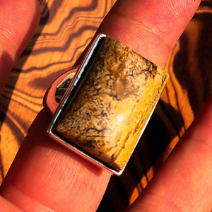 Rectangle shaped symmetric Artwork Sterling Silver Ring with Picture Jasper size 10 - BikeRing4u