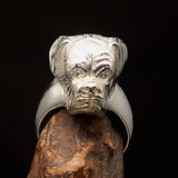 Perfectly crafted Men's Boxer Dog Ring - shiny Sterling Silver - BikeRing4u