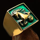 Brass Men's Zodiac Ring Capricorn in Green - BikeRing4u