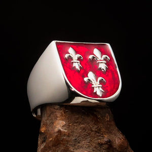 Excellent crafted Men's red Fleur de Lis Coat of Arms Ring - Sterling Silver - BikeRing4u