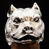 Excellent crafted Men's Biker Ring Pitbull in Chains Sterling Silver 925 - BikeRing4u