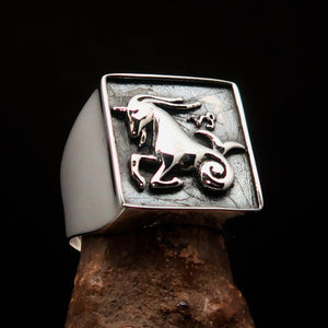 Excellent crafted Men's Zodiac Ring Star Sign Capricorn - Sterling Silver - BikeRing4u